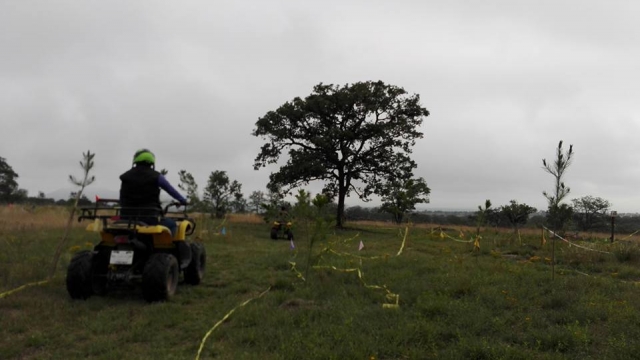 Quads amealco
