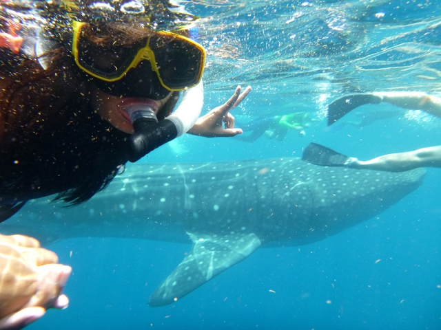 Selfie con los tiburones