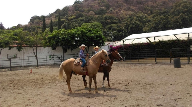 Descubre las ventajas de la equinoterapia