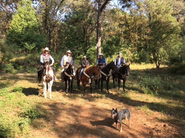 Excelente para fortalecer la convivencia con tu equipo de trabajo