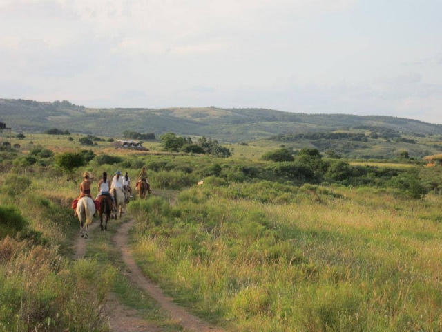 Por el campo sobre los caballos