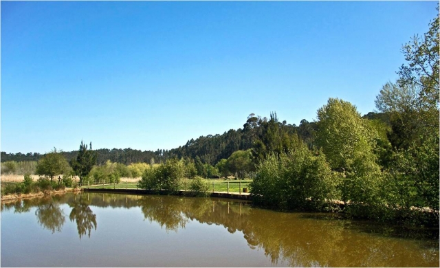 Disfruta de la pesca en Tlaxcala