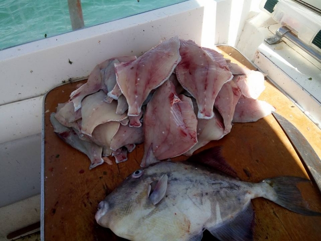 Pesca lista para comer 