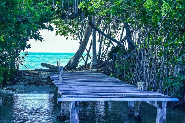 Inmersiones en Chetumal