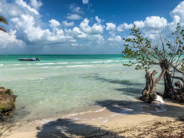 Vista de Playa Cayo Venado