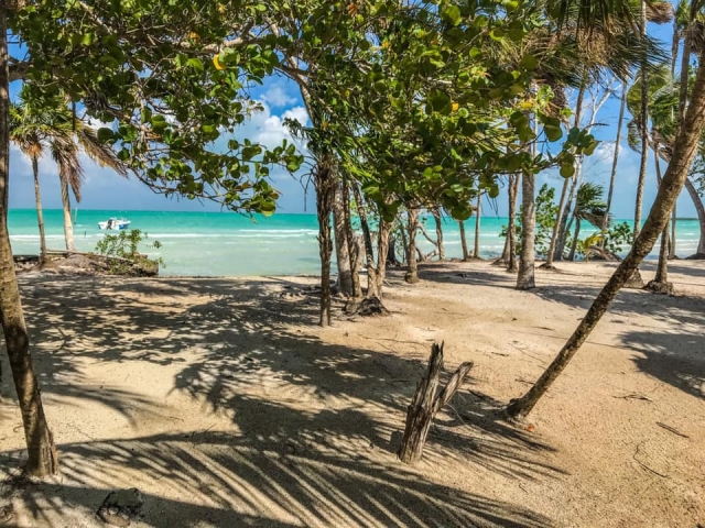 Actividades en Cayo Venado