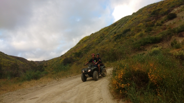 Experiencia inigualabte en quad