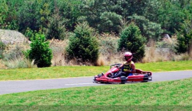 Trae a tus pequeños a disfrutar de un go kar