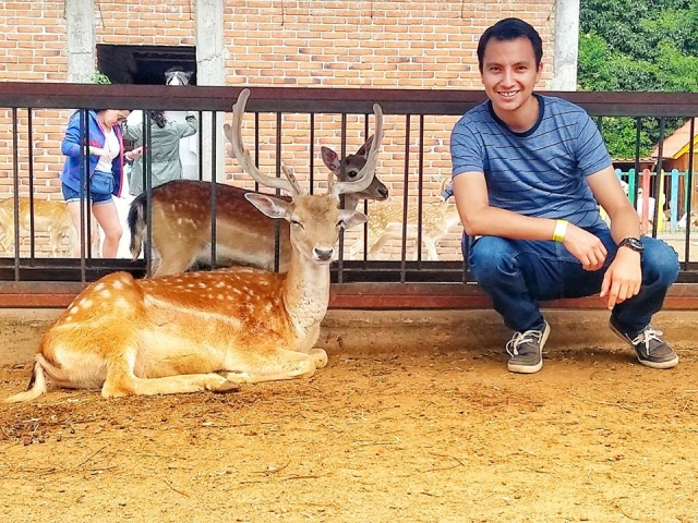 Interactúa con nuestros hermosos venados