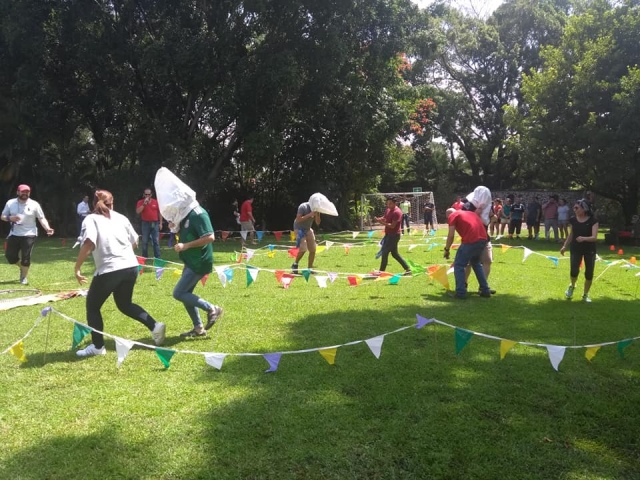 Muestra tus habilidades