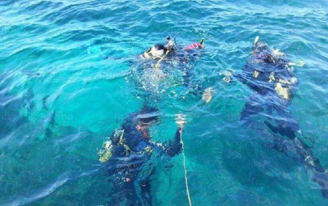 Inicio de la actividad en compañia del monitor