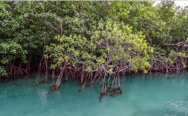 Descubre la flora y fauna del lugar 