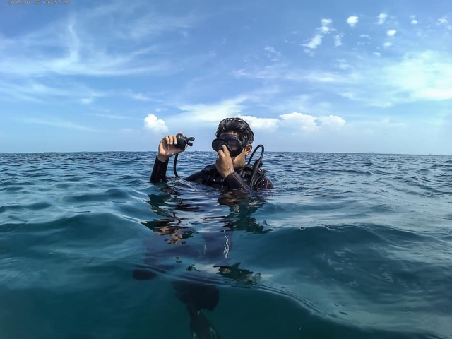 Nado con tiburón ballena en Riviera Maya
