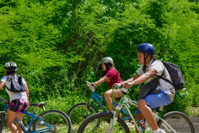 Visita guiada en bici de montaña