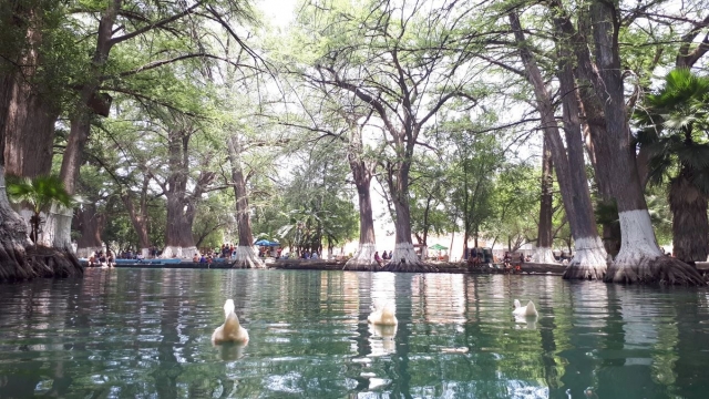 Entorno natural en parque acuático