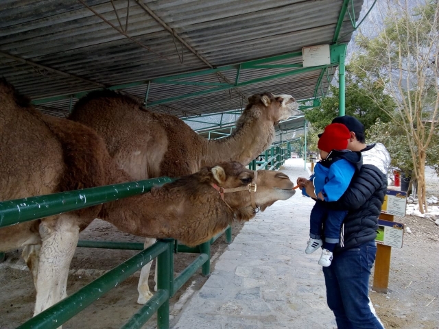 Visita guiada safari en Monterrey