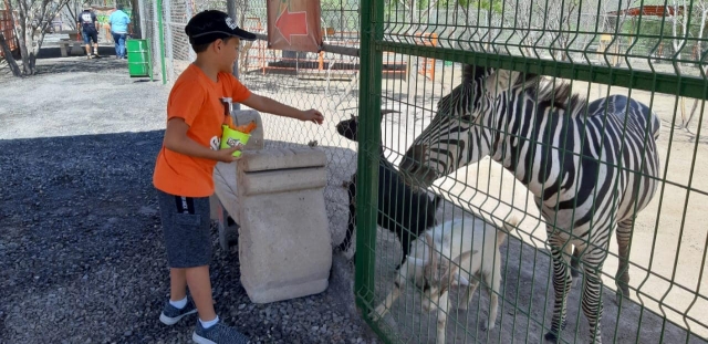 Safari en Monterrey por zoológico