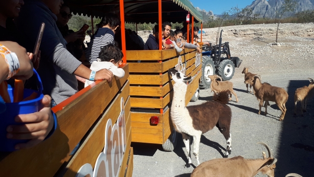 Excursión en tren por zoológico