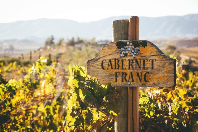 Viñedos en Baja California