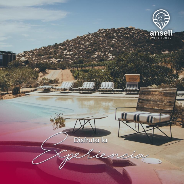 Visita guiada de enorutismo