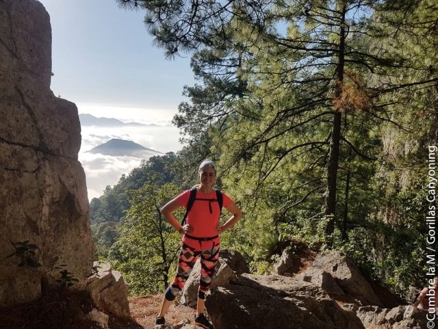Visita guiada la Cumbre la M 