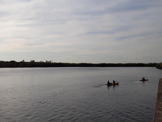 Kayaks en grupo