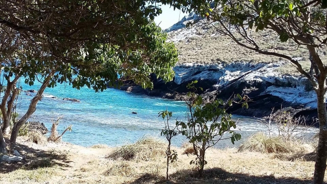 Isla Isabel snorkel