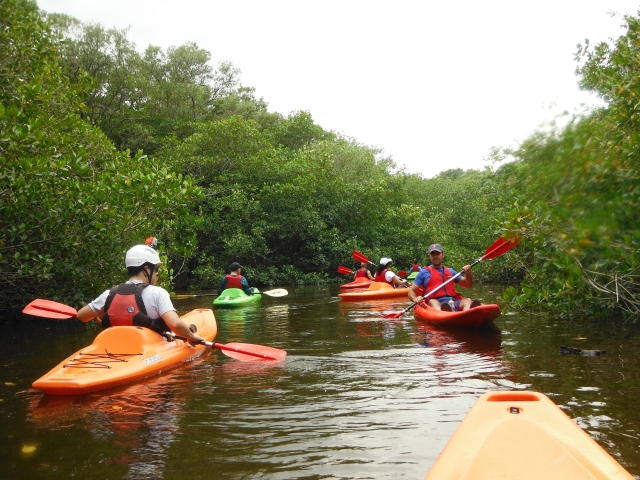 Kayak para toda la familia