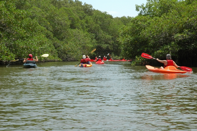 Kayak sobre aguas tranquilas