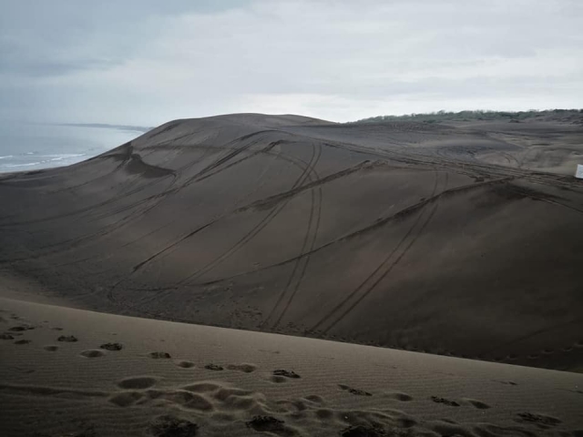 Dunas en Chachalacas