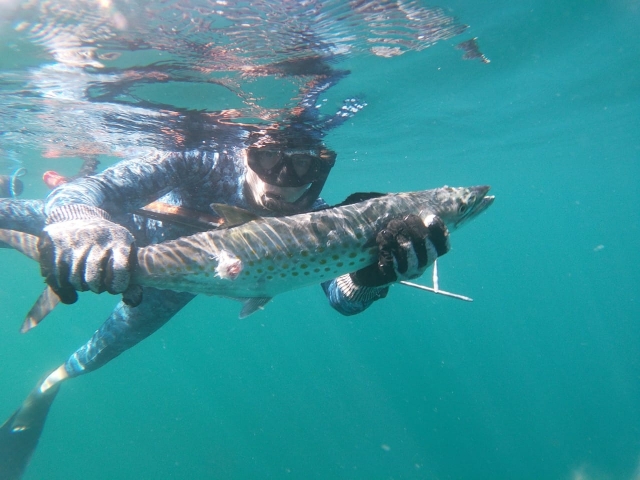 Pesca submarina en Punta Mita