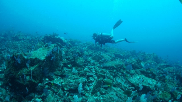 Disfrutando del buceo