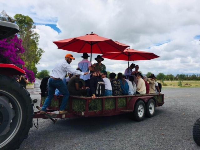 Ruta VIP