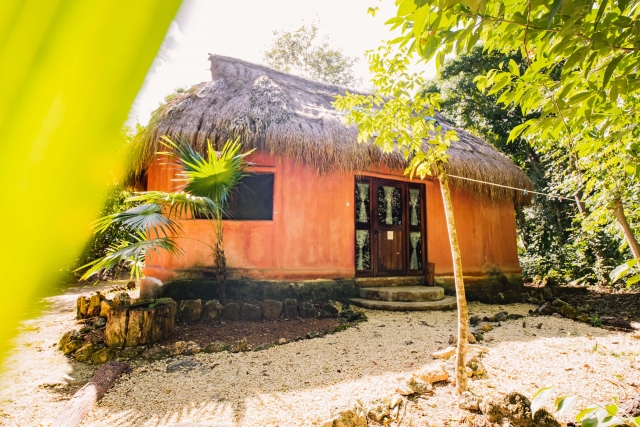 Turismo en medio de la selvas 