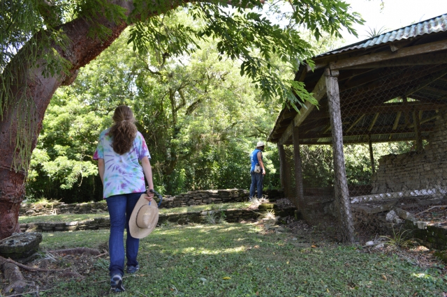 Caminando en la zona