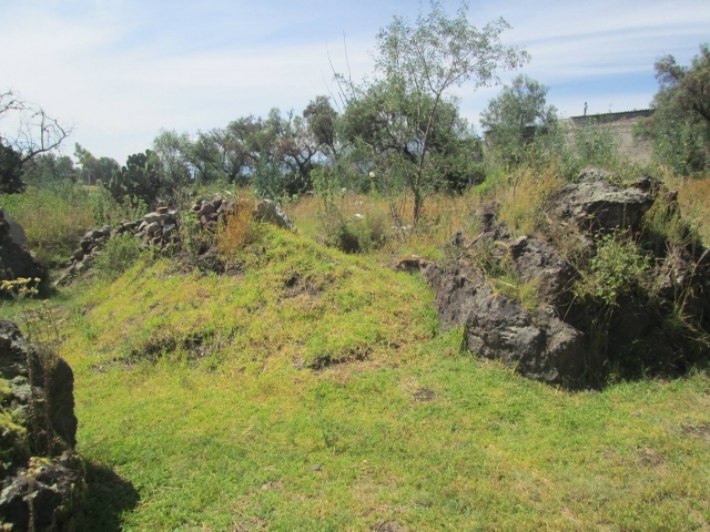 Barricadas naturales