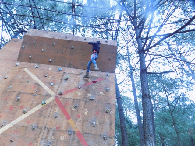 Nuestro muro de escalar rodeado de naturaleza