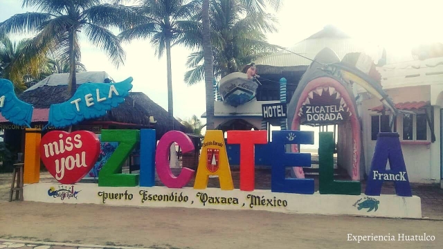 121584296_1883987418410461_151064969615169868_o