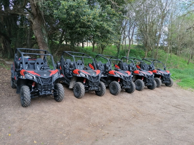 Buggys en San Miguel de Allende