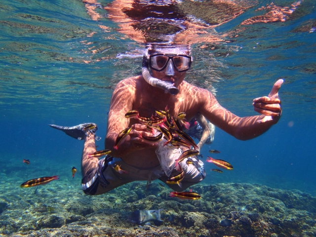 Snorkeling en las playas de Oaxaca