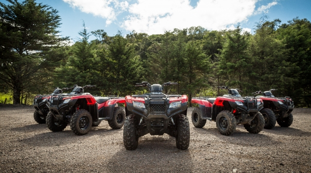 Experiencia 4x4