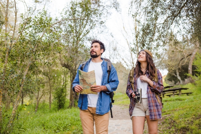 Descubre el bosque de Valte de bravo