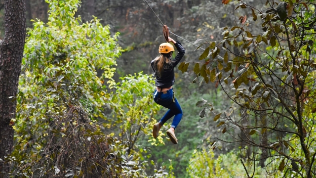Deslízate por el bosque de Valte de Bravo