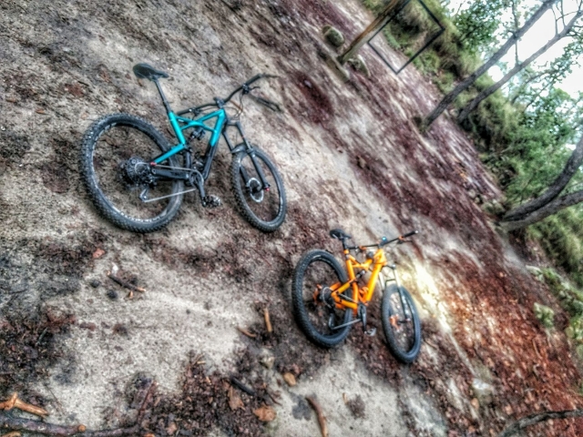 Bicicletas de montaña en el bosque
