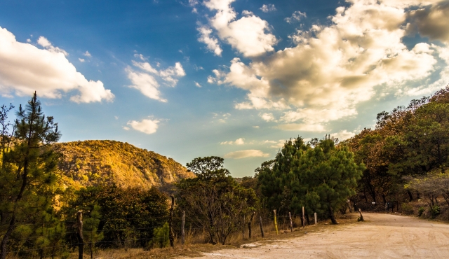 Paisajes maravillosos en el bosque
