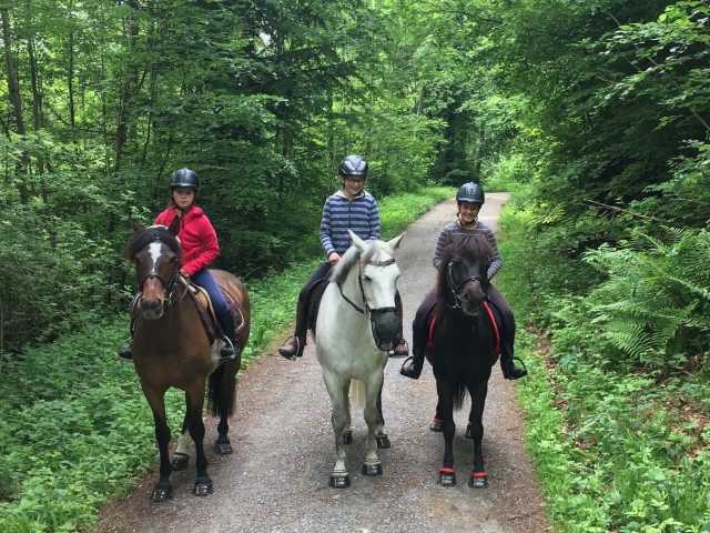 Ruta a caballo Mazamitla, Jalisco, Mx