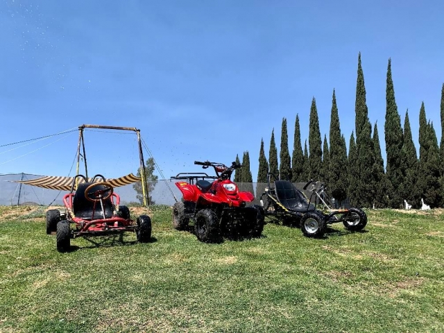 Contamos con quad para niños