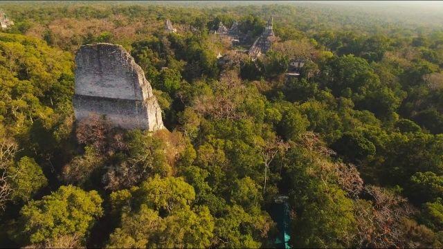 Vista aerea de selvas maya