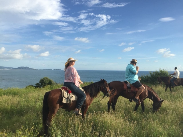 Paseo a caballo cerca de la playa