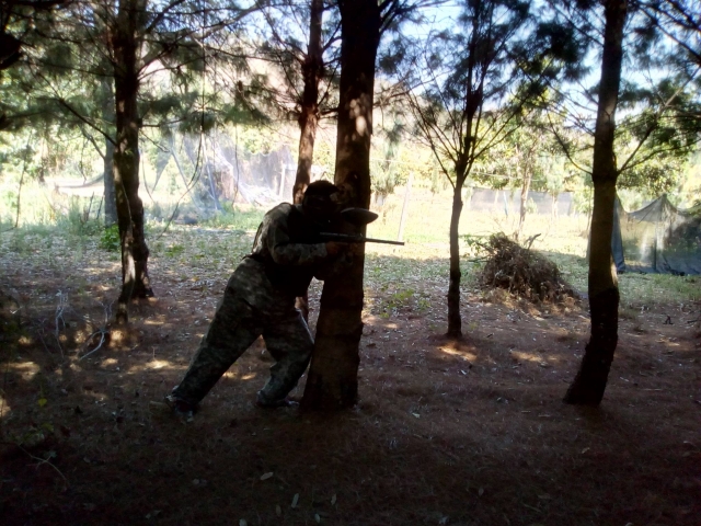 Conoce nuestro campo con temática del bosque